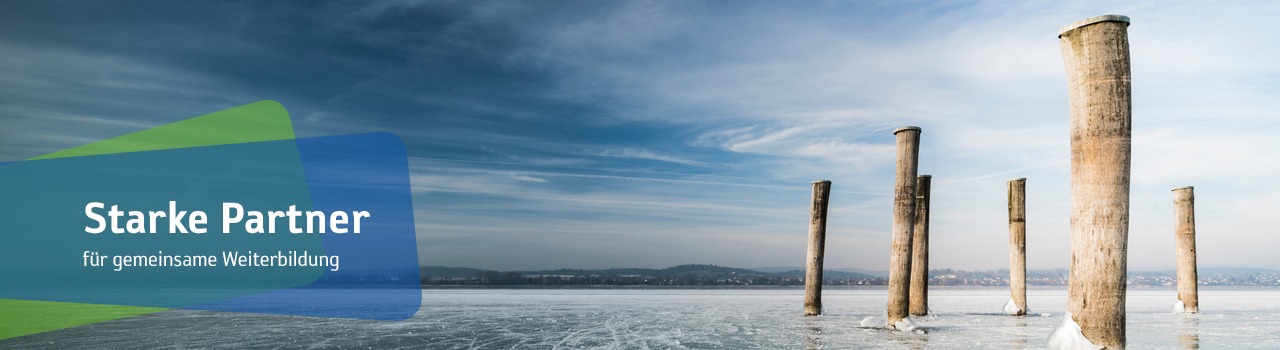 Headerbild Starke Partner - Standhafte Pfeiler in der See